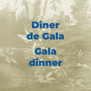 Dîner de Gala / Gala dinner