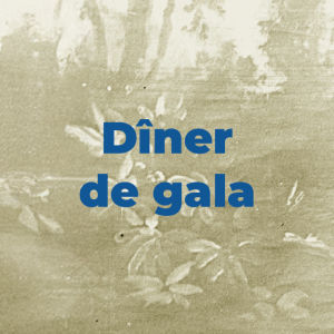 Dîner de Gala / Gala dinner